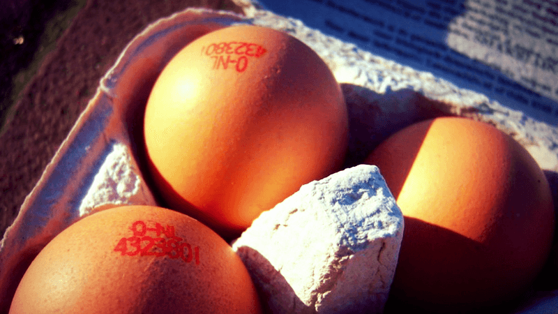 Omeletten zijn eieren die dromen dat ze vallen. Kamagurka